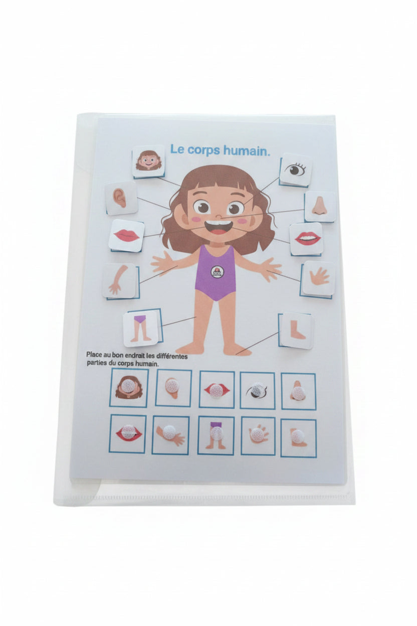 Le corps humain féminin