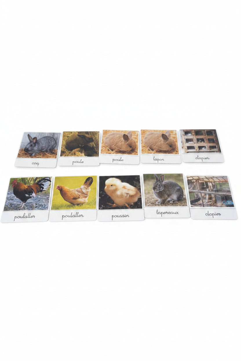 Les animaux de la ferme