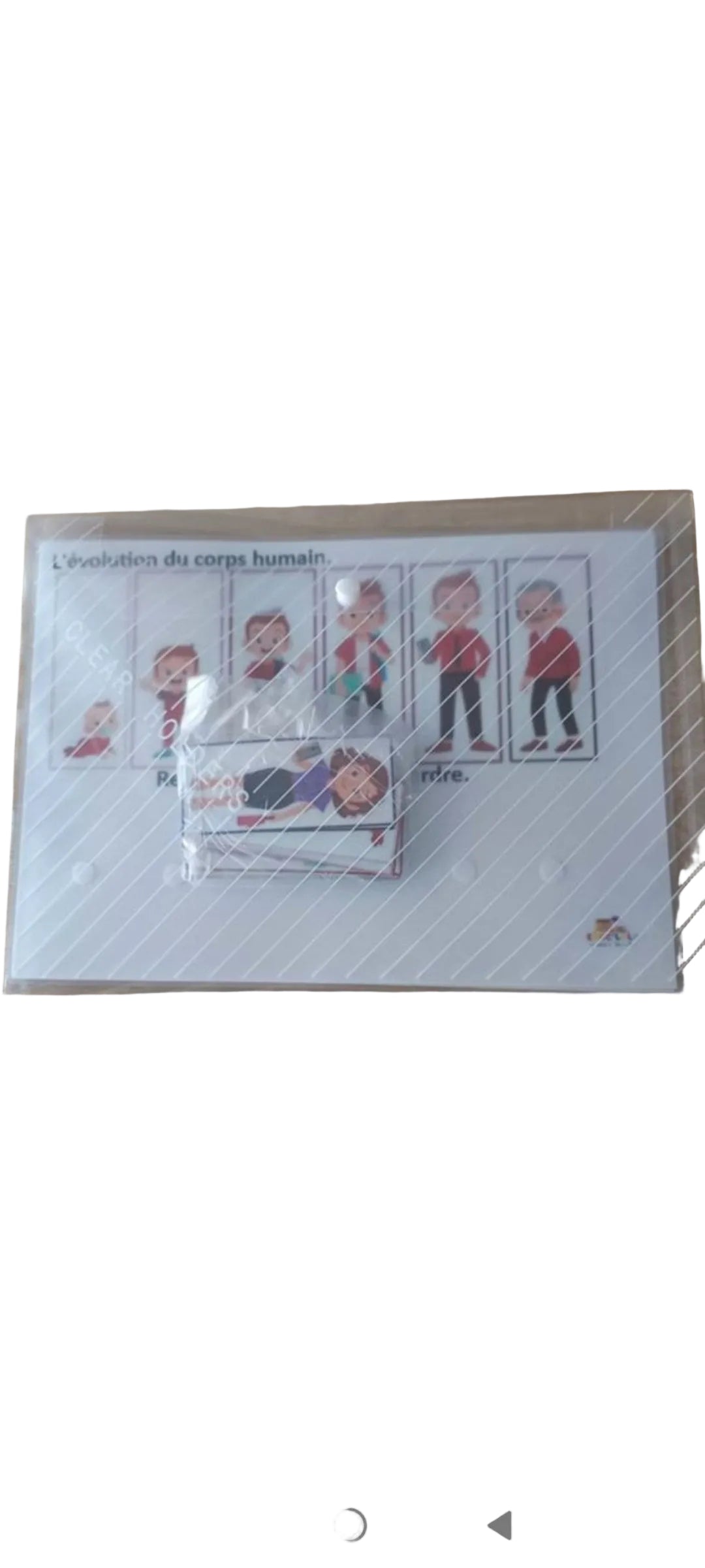 L'évolution du corps humain